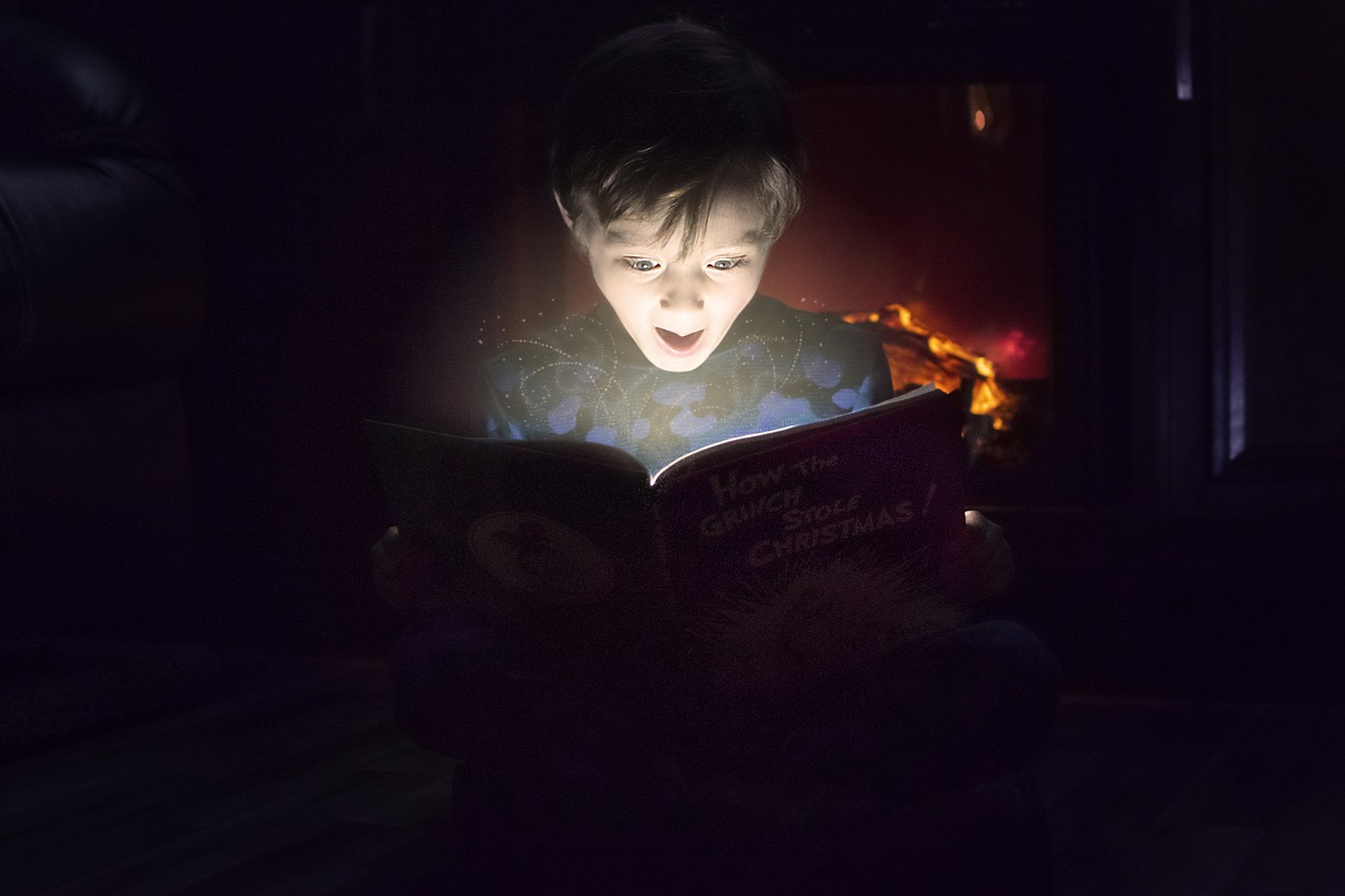 reading-g1b854ad6d_1280.jpg